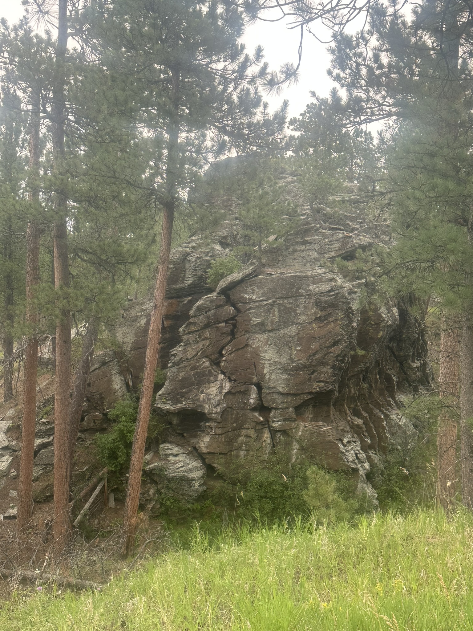 South Dakota - Image 230